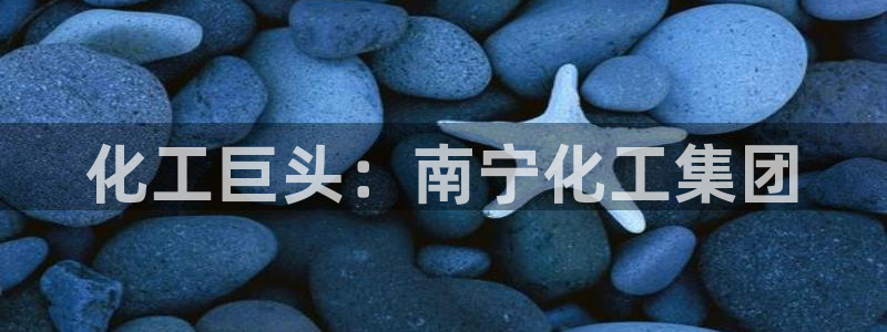 球盟会qmh网页版登录 - qm球盟会官方网站：化工巨头：南