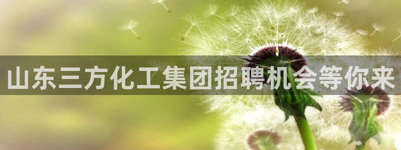球盟会电子游戏平台