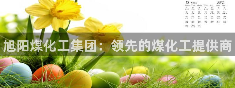 球盟会里面有打牌的嘛是真的吗：旭阳煤化工集团：领先的煤化工提