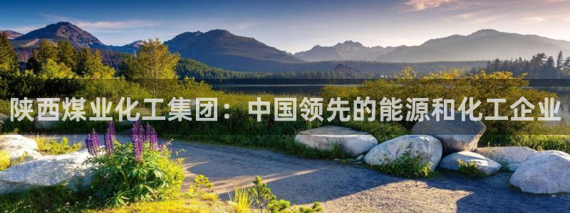 球盟会里面有打牌的嘛是真的吗：陕西煤业化工集团：中国领先的能