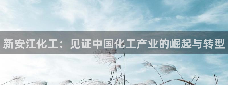 球盟会qm9