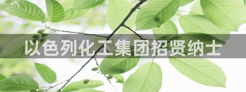 球盟会官方