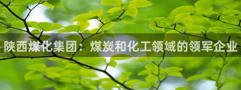 球盟会在线官网：陕西煤化集团：煤炭和化工领域的领军企业