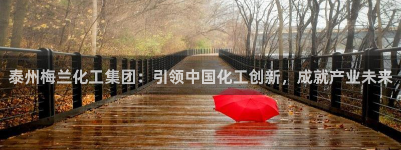 球盟会能提现吗安全吗