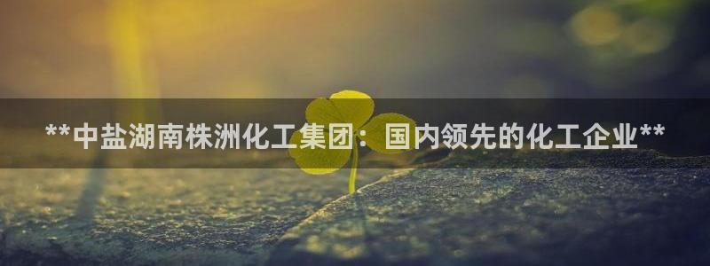 球盟会官方下载