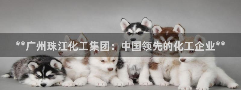 球盟会电子好黑：**广州珠江化工集团：中国领先的化工企业**