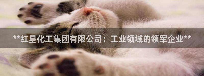 球盟会网址qm9 - 球盟会qmh网页版登录：**红星化工集