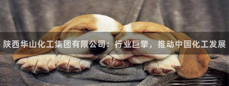 球盟会登陆入口