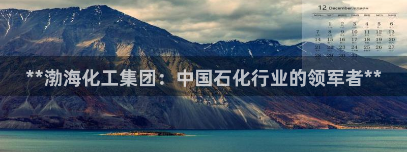球盟会：**渤海化工集团：中国石化行业的领军者**