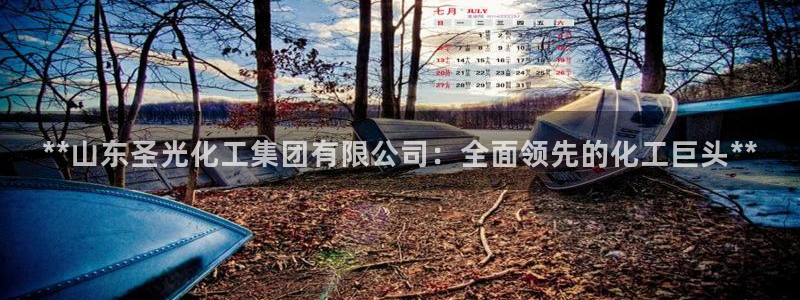 球盟会官方网入口：**山东圣光化工集团有限公司：全面领先的化