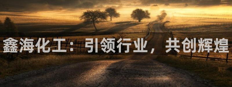 球盟会官方入口：鑫海化工：引领行业，共创辉煌