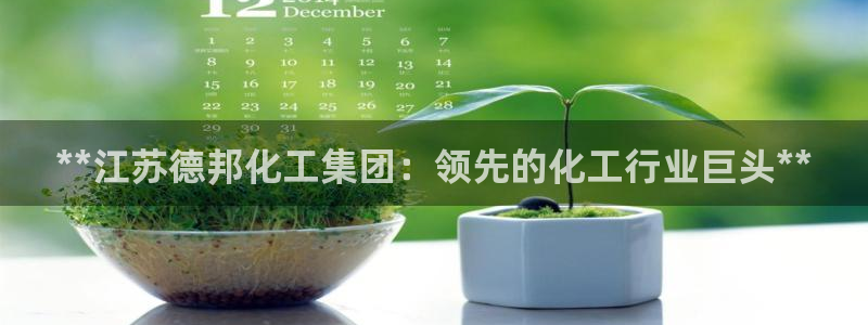 球盟会官方入口：**江苏德邦化工集团：领先的化工行业巨头**