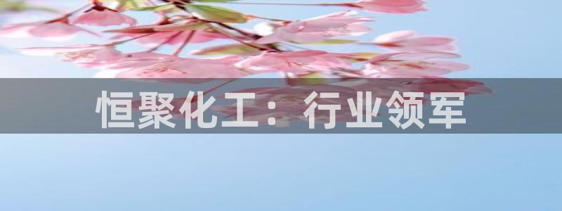 球盟会最新网：恒聚化工：行业领军