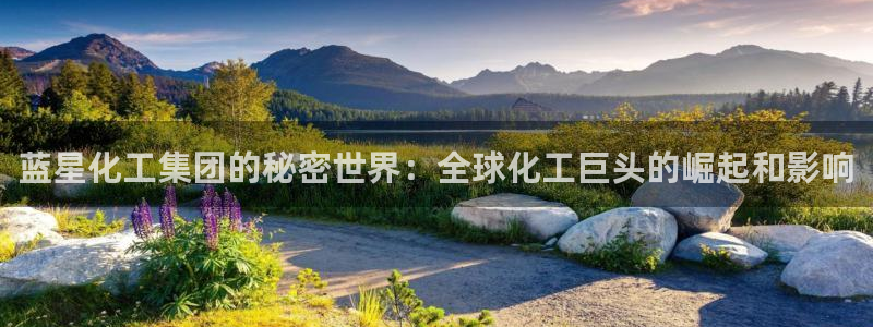 球盟会下载最新版