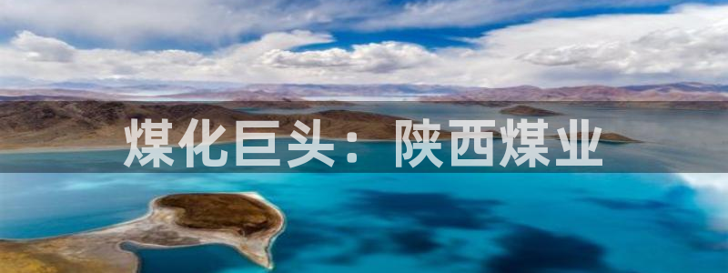球盟会可以提现么是真的吗：煤化巨头：陕西煤业