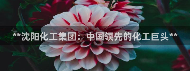 球盟会官方最新入口：**沈阳化工集团：中国领先的化工巨头**