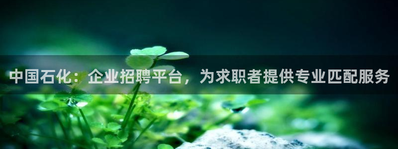 球盟会qmh电子网页版登录：中国石化：企业招聘平台，为求职者