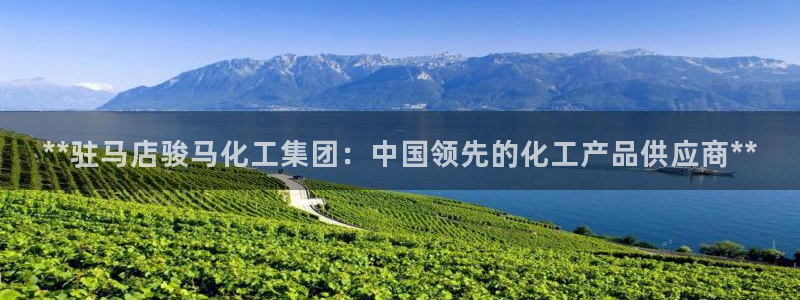 球盟会可以提现么现在：**驻马店骏马化工集团：中国领先的化工