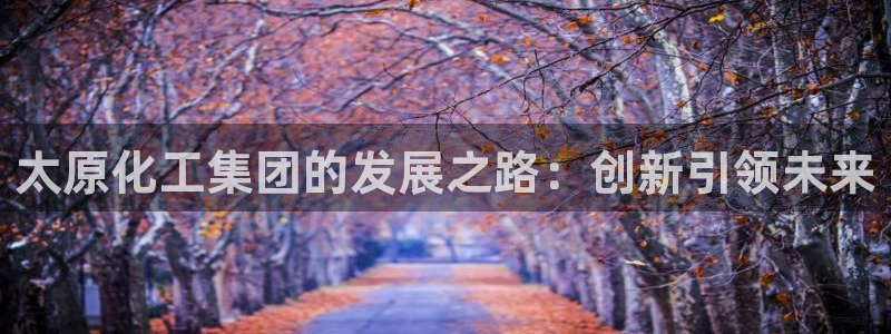球盟会官网app下载：太原化工集团的发展之路：创新引领未来