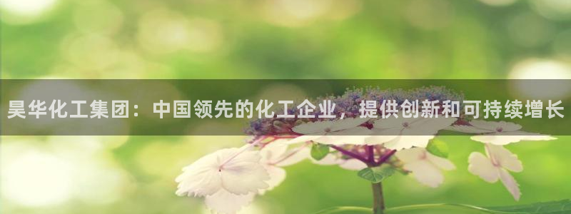 球盟会在线登录官网：昊华化工集团：中国领先的化工企业，提供创
