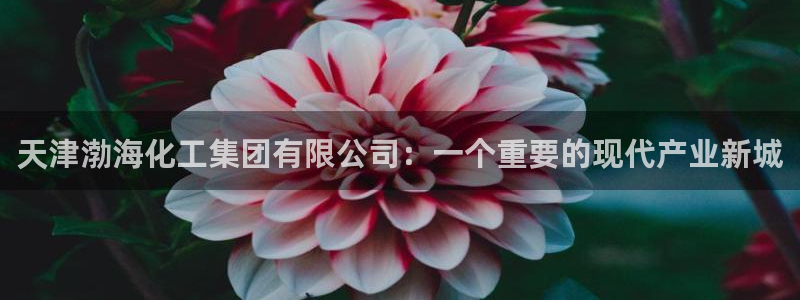 球盟会网址：天津渤海化工集团有限公司：一个重要的现代产业新城