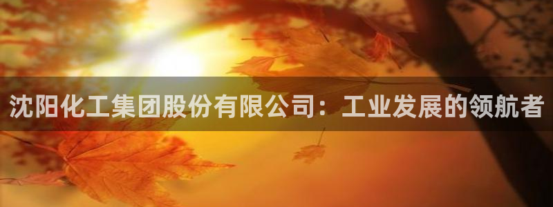 球盟会里面有打牌的嘛知乎：沈阳化工集团股份有限公司：工业发展