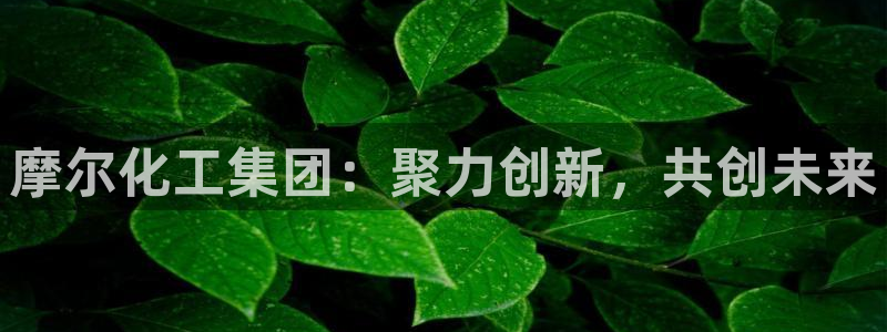 球盟会体验金球奖吗：摩尔化工集团：聚力创新，共创未来