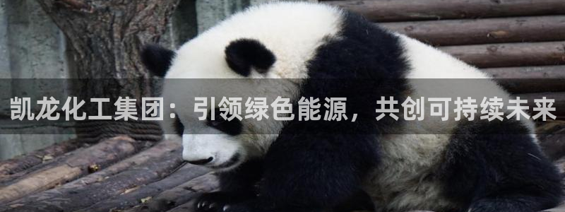 球盟会能提现吗安全吗：凯龙化工集团：引领绿色能源，共创可持续