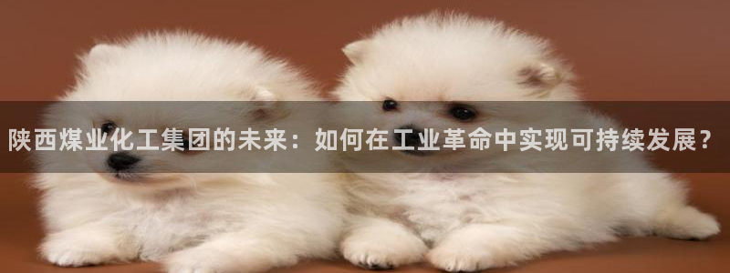 球盟会登陆中心：陕西煤业化工集团的未来：如何在工业革命中实现
