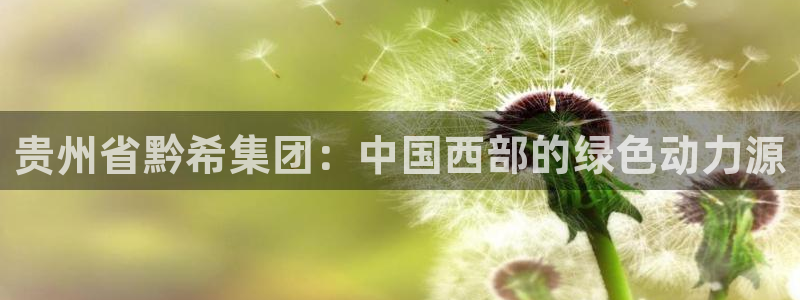 球盟会网址多少：贵州省黔希集团：中国西部的绿色动力源
