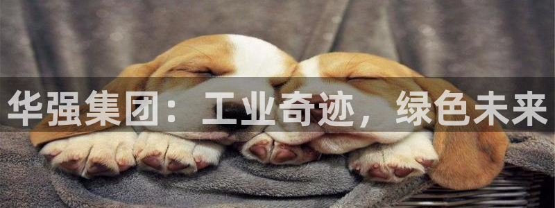 球盟会乐虎：华强集团：工业奇迹，绿色未来