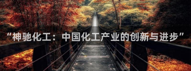 球盟会app入口：“神驰化工：中国化工产业的创新与进步”