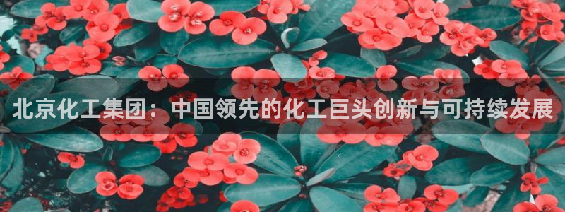 球盟会官方下载：北京化工集团：中国领先的化工巨头创新与可持续