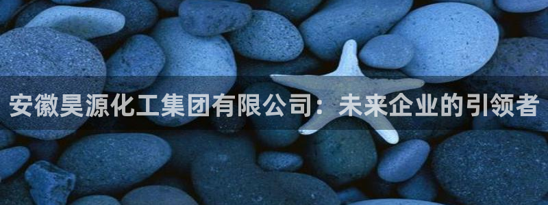 球盟会吧：安徽昊源化工集团有限公司：未来企业的引领者