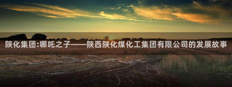 球盟会qm：陕化集团:哪吒之子——陕西陕化煤化工集团有限公司