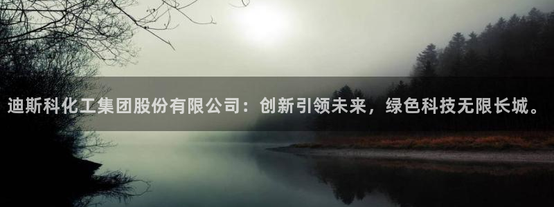 球盟会app最新地址下载安装：迪斯科化工集团股份有限公司：创