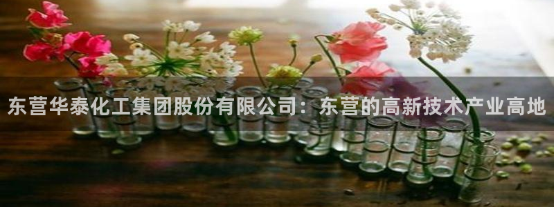 球盟会网页登录app下载地址：东营华泰化工集团股份有限公司：