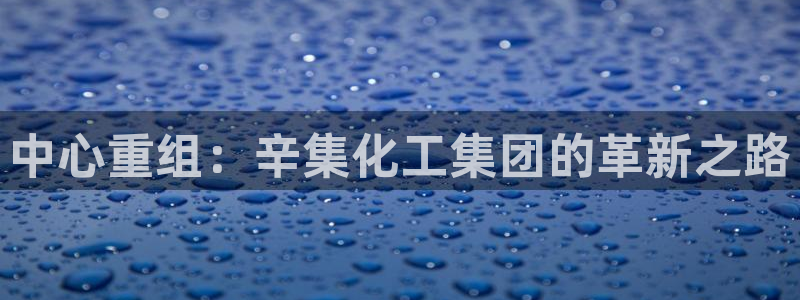 球盟会有没有黑单的活动：中心重组：辛集化工集团的革新之路