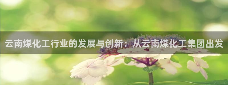 球盟会娱乐平台：云南煤化工行业的发展与创新：从云南煤化工集团