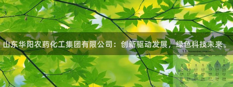 球盟会中国网页登录：山东华阳农药化工集团有限公司：创新驱动发