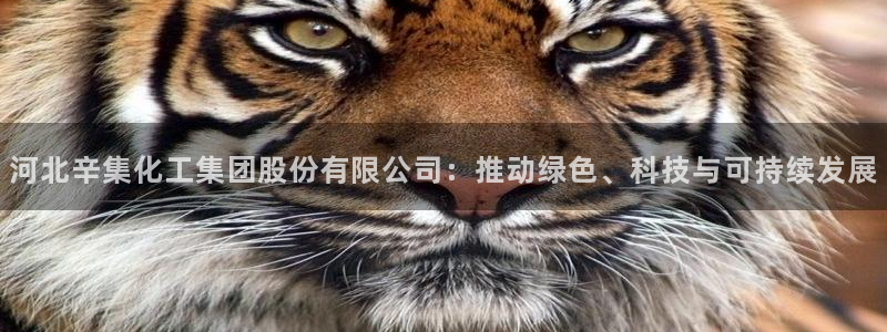 球盟会手机网页版：河北辛集化工集团股份有限公司：推动绿色、科