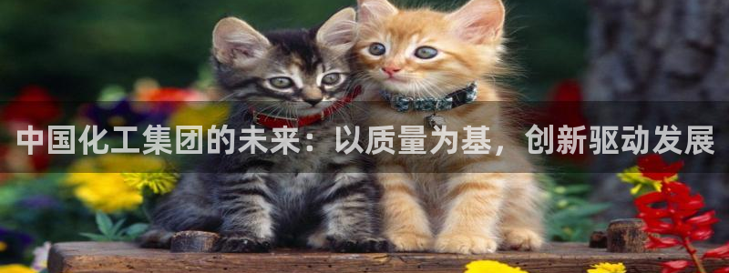 球盟会官网网页版：中国化工集团的未来：以质量为基，创新驱动发