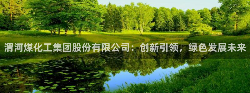 球盟会有没有黑单的：渭河煤化工集团股份有限公司：创新引领，绿
