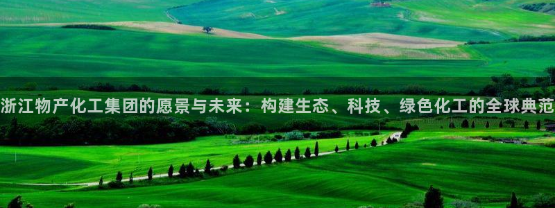 球盟会体验金：浙江物产化工集团的愿景与未来：构建生态、科技、