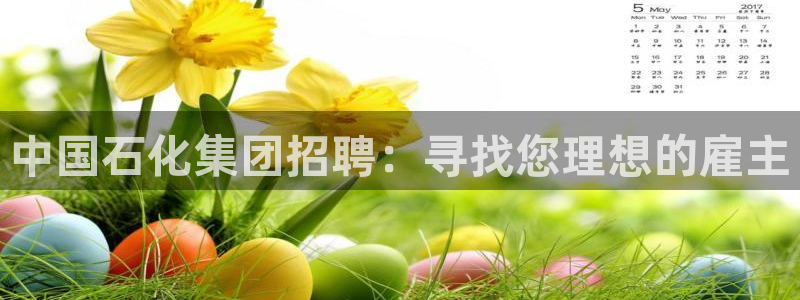 球盟会有没有黑单的：中国石化集团招聘：寻找您理想的雇主
