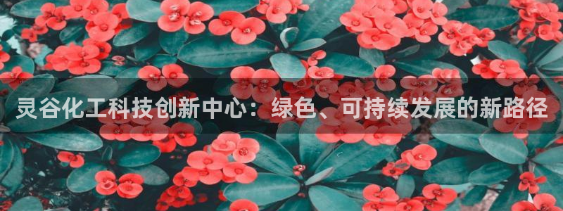 球盟会在线登录：灵谷化工科技创新中心：绿色、可持续发展的新路