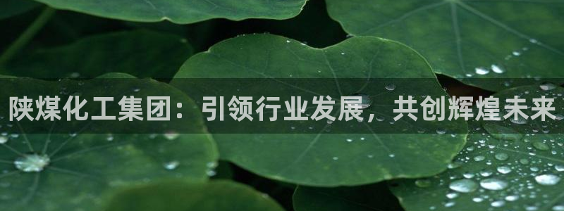 球盟会黑款吗知乎：陕煤化工集团：引领行业发展，共创辉煌未来