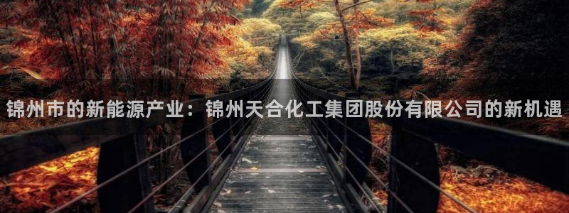 球盟会下款快吗：锦州市的新能源产业：锦州天合化工集团股份有限