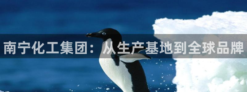 球盟会电子游戏平台：南宁化工集团：从生产基地到全球品牌
