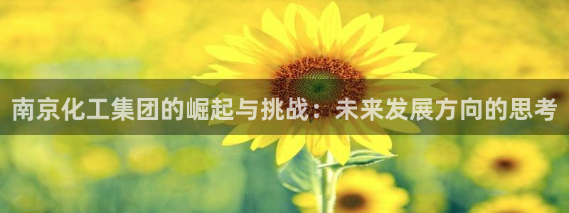 球盟会app最新地址下载：南京化工集团的崛起与挑战：未来发展